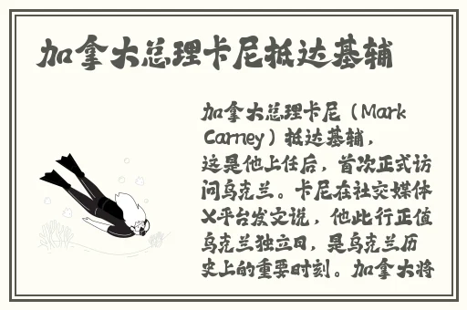 任天堂全新av线